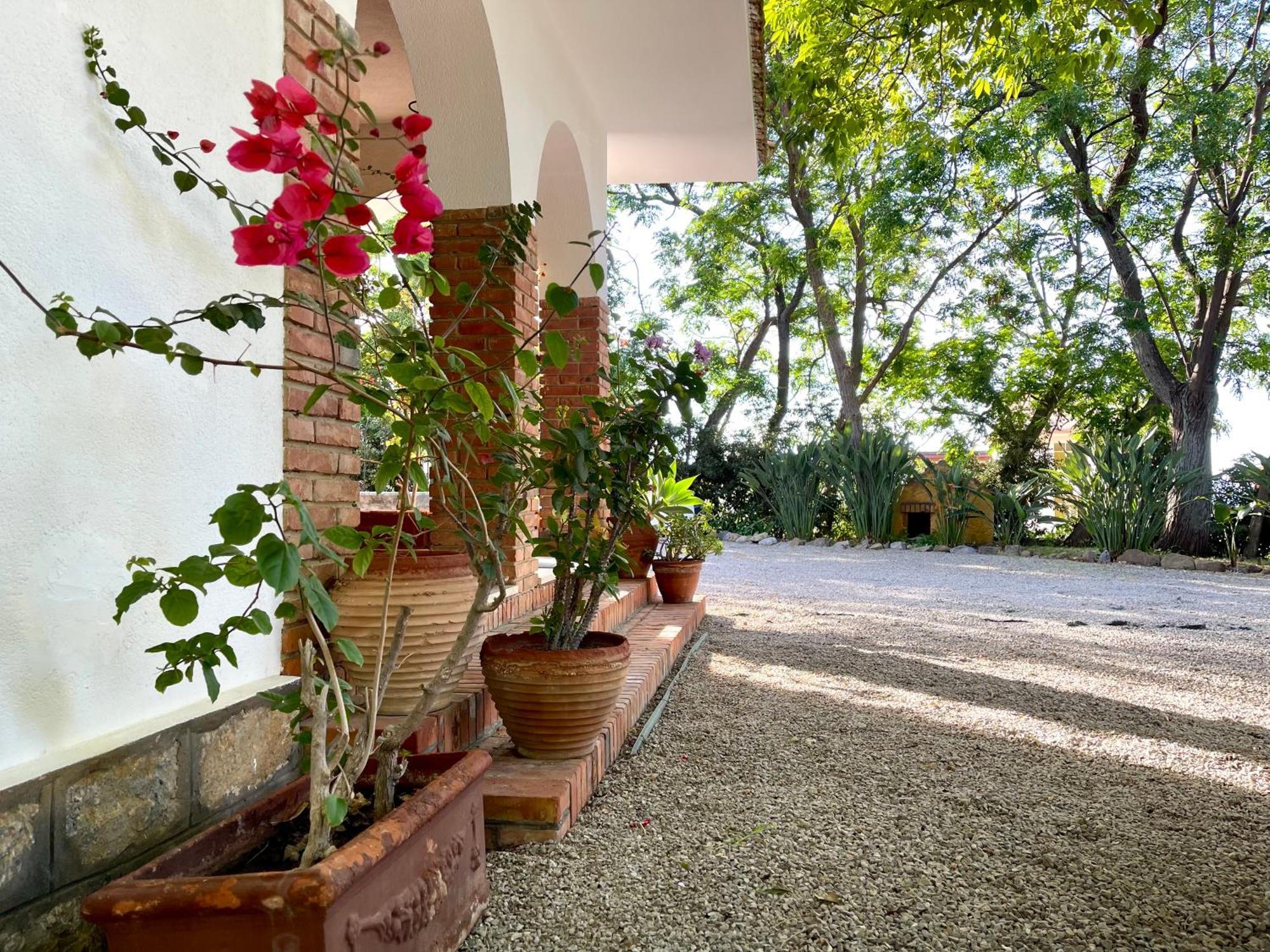 Villa Tana Pacenzia Cefalù Exterior foto